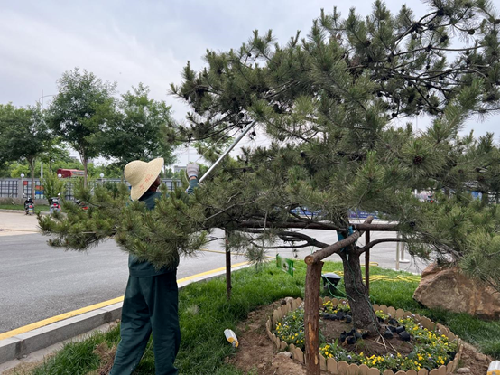 走進(jìn)園區(qū)，感受夏日炎炎里的“理想之城”！